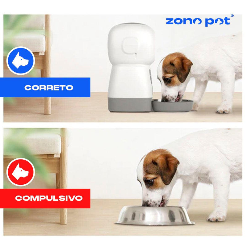 Comedouro automático 2.0 | Dispensador de ração ZonePet® - ZonePet