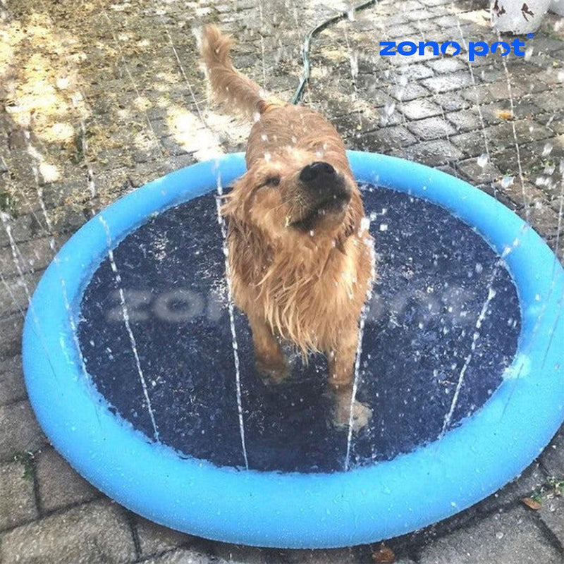 Piscina com Chafariz ZonePet® - ZonePet